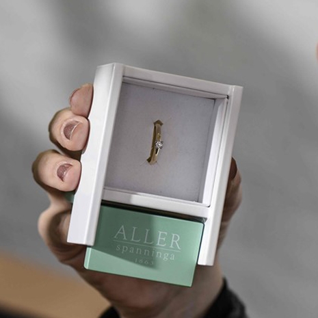 Geelgouden Ring In Ringendoosje