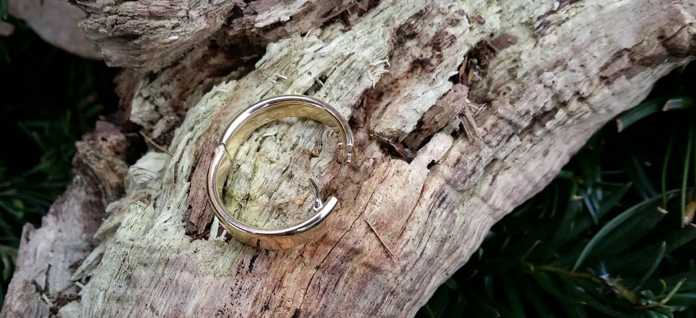 Scharnierring