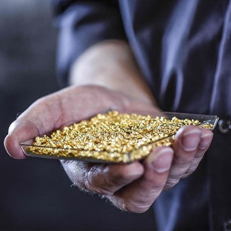 Geelgoud In Een Bakje In De Hand